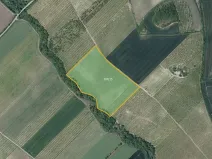 Prodej sadu/vinice, Želkovice, 42369 m2