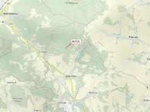 Dražba lesa, Zubrnice, 815 m2