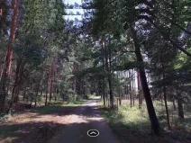 Dražba lesa, Chrášťany, 1726 m2