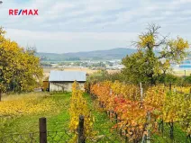 Prodej chaty, Kyjov, 20 m2