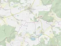 Dražba lesa, Koloveč, 7329 m2