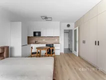 Pronájem bytu 1+kk, Praha - Žižkov, Olgy Havlové, 32 m2