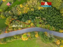 Prodej lesa, Kosov, 467 m2