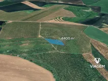 Prodej podílu pole, Kobylí, 880 m2