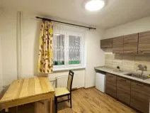 Pronájem bytu 1+1, Litvínov - Chudeřín, Horská, 42 m2