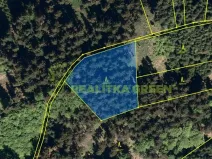 Prodej lesa, Halenkov, 3003 m2