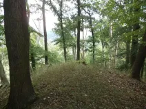 Dražba louky, Malé Březno, 14517 m2