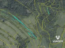 Prodej podílu lesa, Zubrnice, 2835 m2