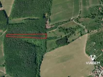 Prodej podílu lesa, Březůvky, 3839 m2
