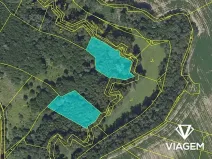 Prodej lesa, Praha, 5555 m2