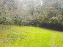 Prodej zahrady, Libina, 239 m2