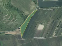 Prodej pole, Dolní Dunajovice, 9912 m2