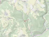 Dražba lesa, Jílové u Držkova, 151 m2