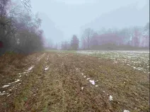 Dražba pole, Mrákotín, 2398 m2