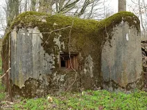 Prodej lesa, Trutnov, 4429 m2