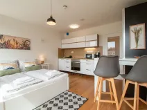 Pronájem bytu 1+kk, Praha - Vinohrady, Perucká, 25 m2