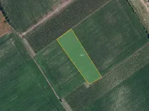 Prodej pole, Nový Poddvorov, 6317 m2