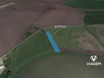 Prodej podílu pole, Záhornice, 241 m2