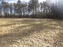 Dražba louky, Novosedly nad Nežárkou, 15643 m2