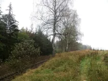 Dražba louky, Peč, 7060 m2