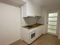 Prodej bytu 1+kk, Praha - Nusle, Pod vilami, 20 m2