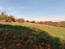 Prodej lesa, Kouřim, 87548 m2