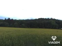 Prodej pole, Rosice, 4282 m2