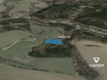 Prodej lesa, Řendějov, 6061 m2