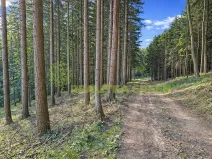 Prodej lesa, Zlín, Modřínová, 152613 m2