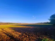 Prodej pozemku pro bydlení, Unín, 11943 m2