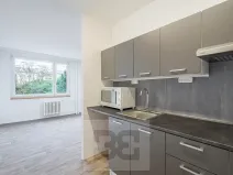 Pronájem bytu 1+kk, Rakovník, V Jamce, 33 m2