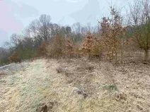 Dražba louky, Ryjice, 3310 m2