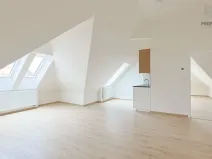 Pronájem bytu 2+kk, Brno, Lerchova, 64 m2