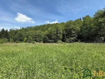 Prodej louky, Bílovice nad Svitavou, 3200 m2
