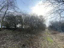 Prodej louky, Městečko Trnávka - Lázy, 1158 m2