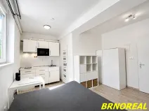 Pronájem bytu 1+kk, Brno, Vodní, 20 m2