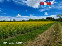 Prodej pozemku, Pňov-Předhradí, 151762 m2