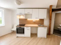 Pronájem bytu 1+kk, Brno, Kounicova, 26 m2