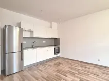 Pronájem bytu 2+1, Praha - Žižkov, Roháčova, 80 m2
