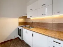 Pronájem bytu 2+1, Chomutov, Skalková, 51 m2