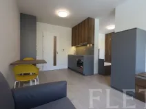 Pronájem bytu 1+kk, Praha - Holešovice, V háji, 38 m2