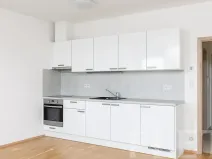 Pronájem bytu 1+kk, Praha - Žižkov, Olšanská, 36 m2