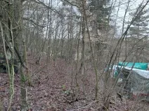 Prodej lesa, Kožlí, 278 m2
