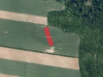 Prodej pole, Spytihněv, 2992 m2