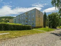 Prodej bytu 2+1, Žlutice, Vítězná, 52 m2
