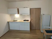 Pronájem bytu 1+kk, Brno, Jedovnická, 20 m2