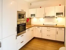 Pronájem bytu 2+kk, Brno, Purkyňova, 54 m2