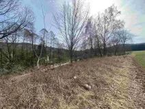 Prodej pozemku, Horní Stropnice - Šejby, 1757 m2