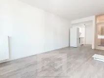 Pronájem bytu 2+kk, Praha - Košíře, Vrchlického, 43 m2