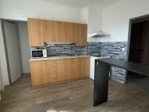 Pronájem bytu 1+1, Doudleby nad Orlicí, U Bažantnice, 42 m2